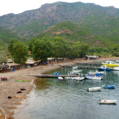 P1000946