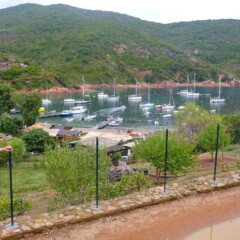 P1000949