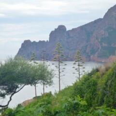 P1000951