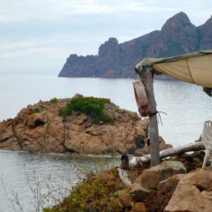 P1000955