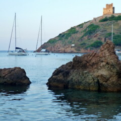 P1000972