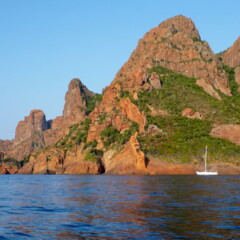 P1000981