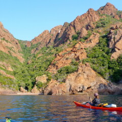 P1000983