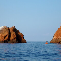 P1000986
