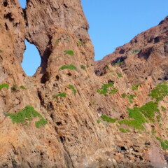 P1000989