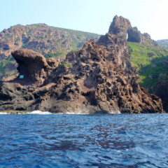 P1000994