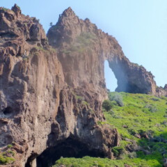 P1000995