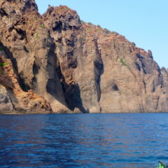 P1010011