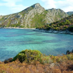 P1070696