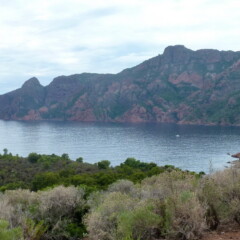 P1070863