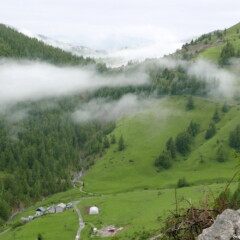 P1150595
